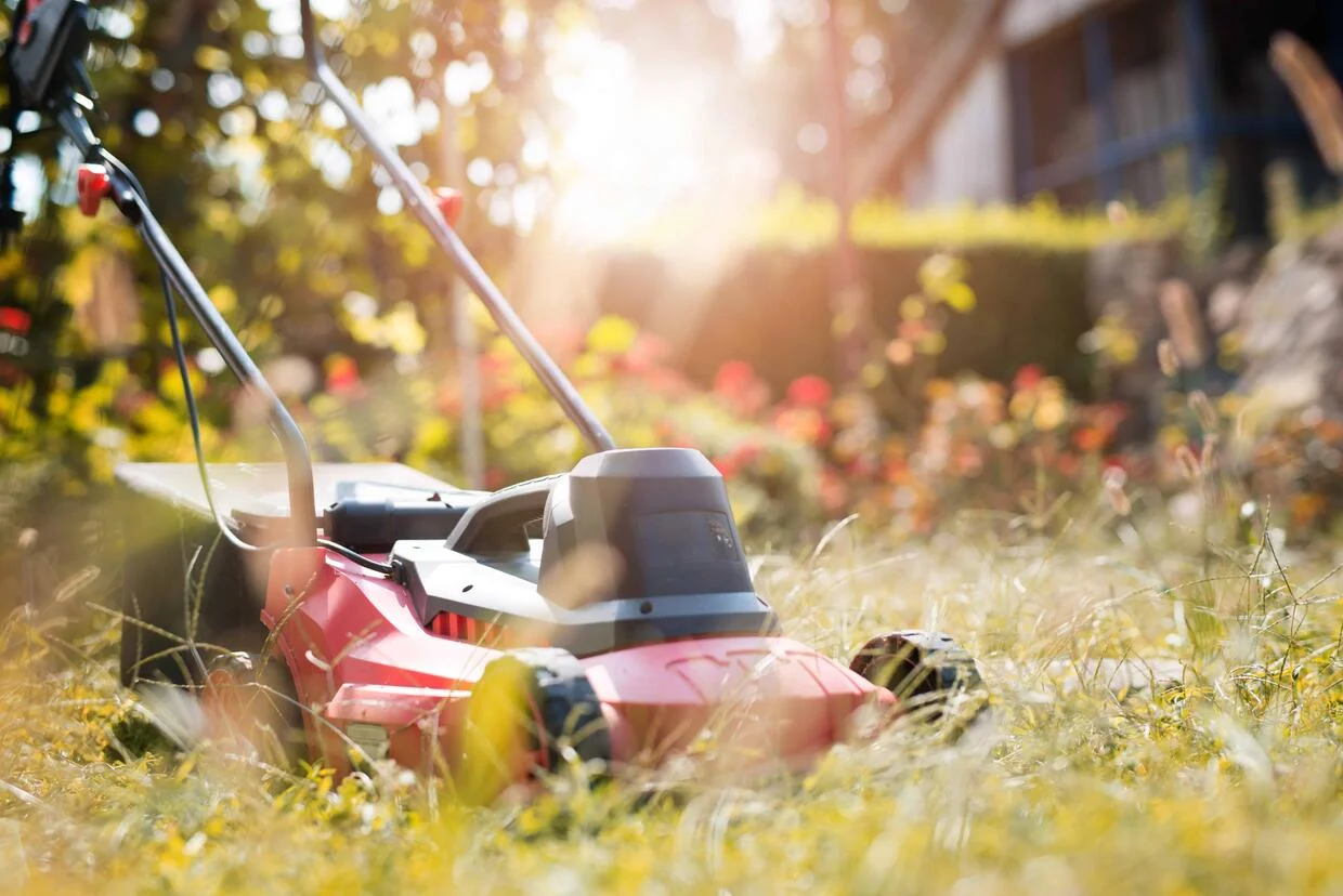 Building & Yard Maintenance