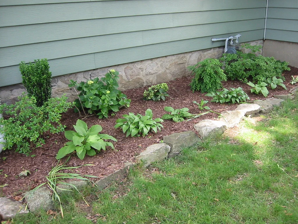 Foundation Plantings