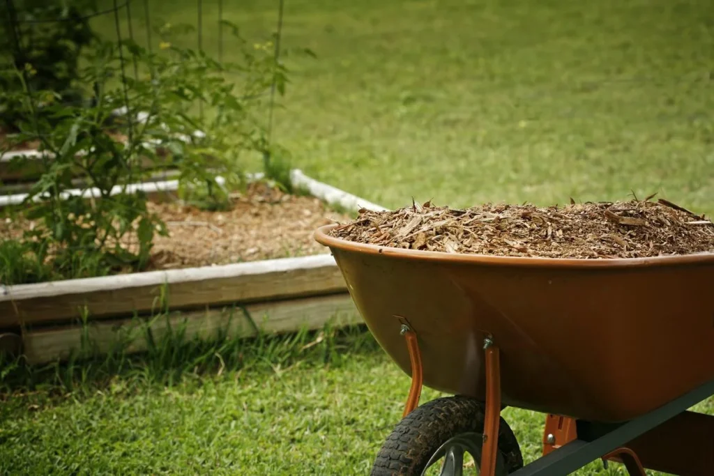 Planting Bed Maintenance