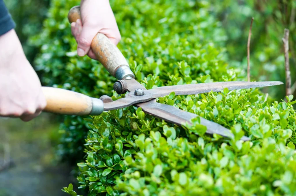 Trimming
