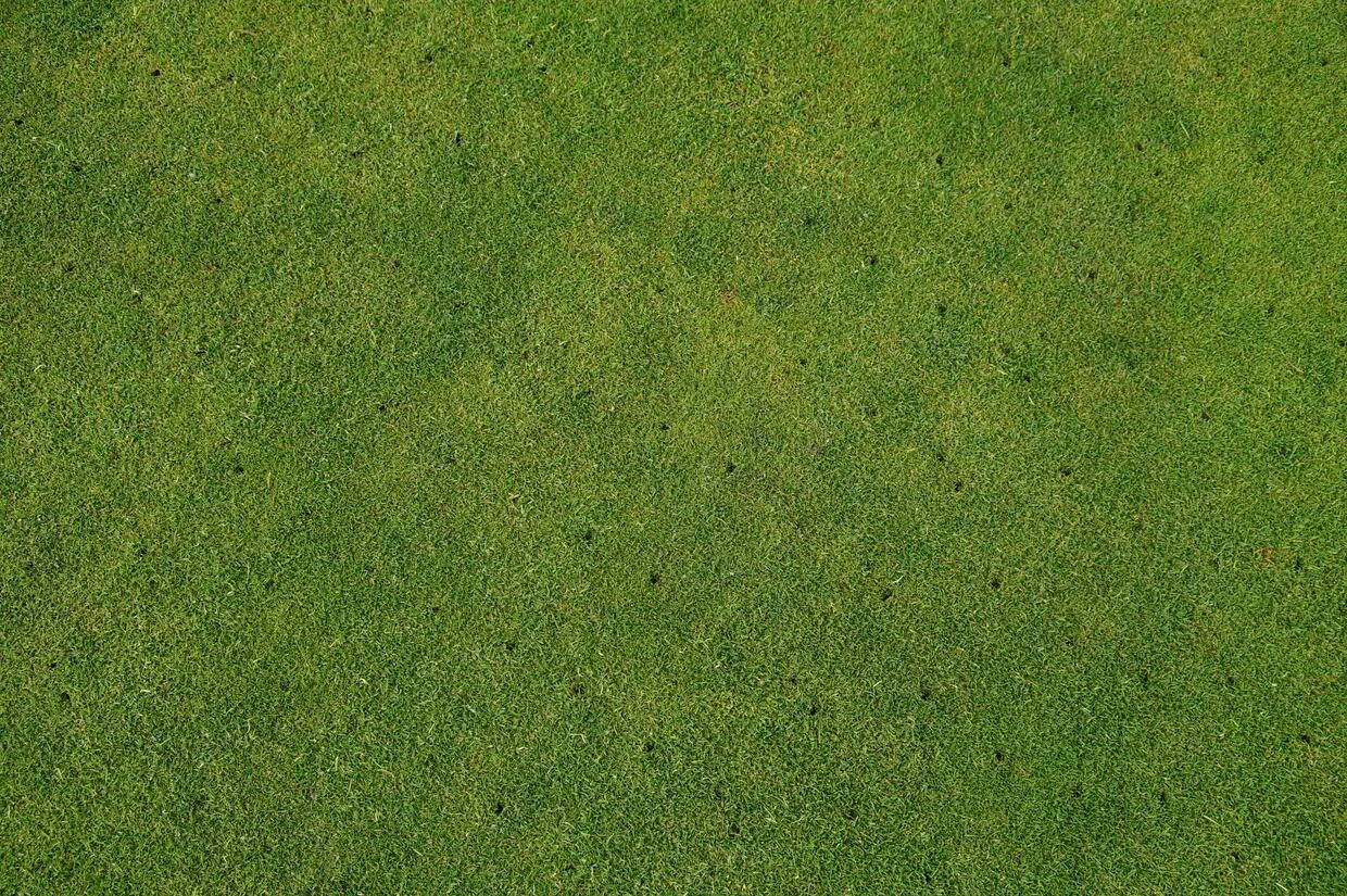 Turf Maintenance