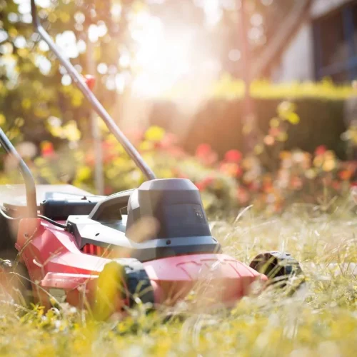 Building & Yard Maintenance