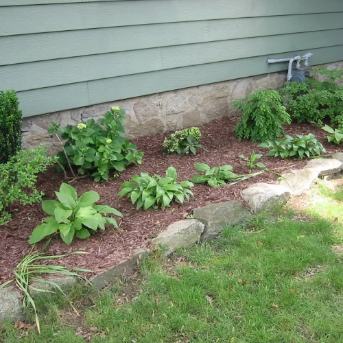Foundation Plantings
