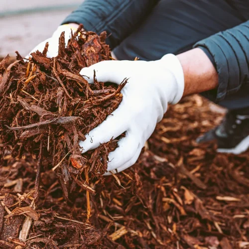 Mulching