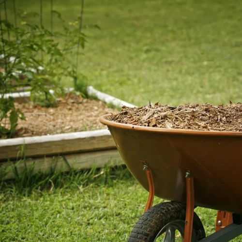 Planting Bed Maintenance