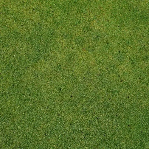 Turf Maintenance